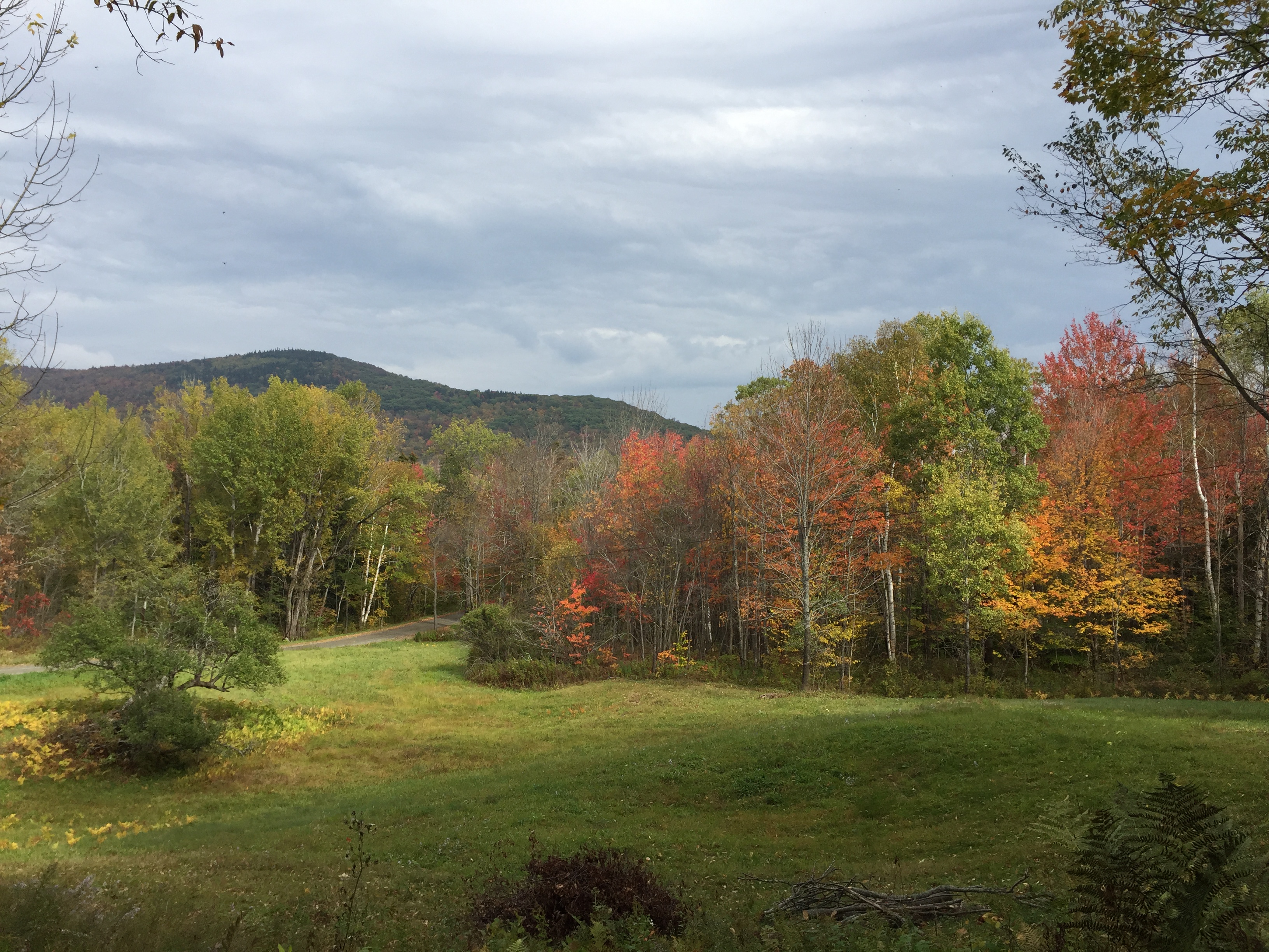 Pikes Falls Valley – Cole House and Cole Cabin